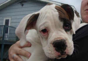 (I think he's much better looking now!)