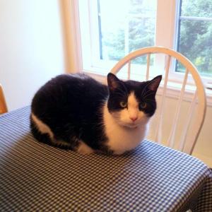 He may also be part guinea pig. We're looking in to it.