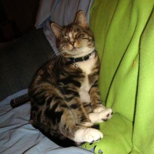 "You can't stay mad at me!"