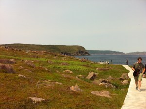 cape spear IMG_2672