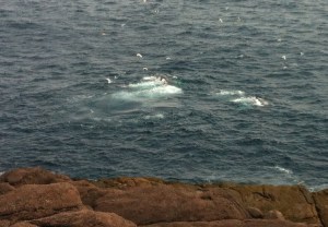 You didn't think you were getting out of this without at least one stupid pun, did you?