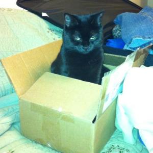 She may also be part evil. We're looking into it.