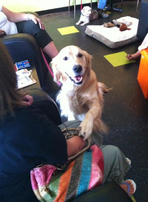 This is Lilly. Lilly ikes Munchies. Lilly would also like some of your sandwich, thank you.