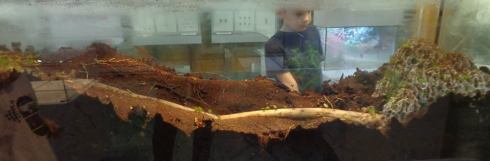 1375150_10151879863985660_155472356_n