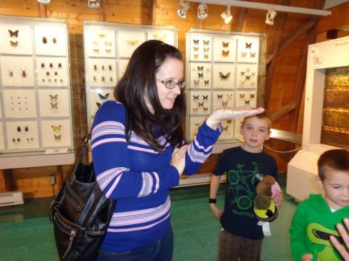 There, you can see some of the butterfly displays behind me.