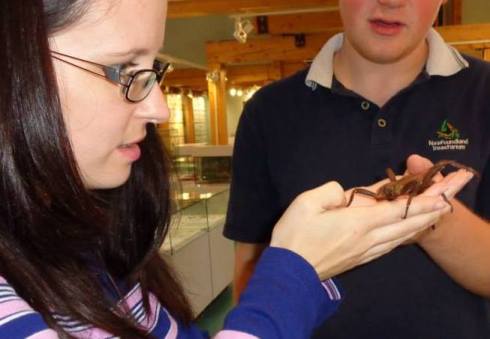 1391838_10151879863880660_1621458967_n