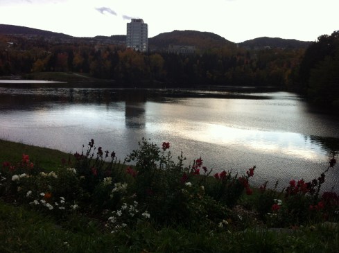 This is the pond next to the hotel where I found those creepy ghost kids. The pond is hardly creepy at all!