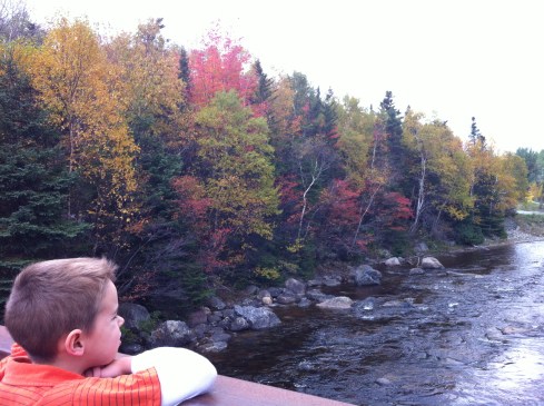 Yeah, my kid coordinates with the landscape. Totally not a coincidence... *cough*