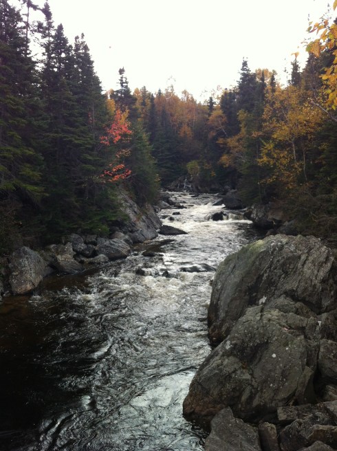 If you spend enough time in Newfoundland, you start to go, "Oh. Another picturesque fishing village/river/forest/view. Le sigh." Still, this one earned a photo.