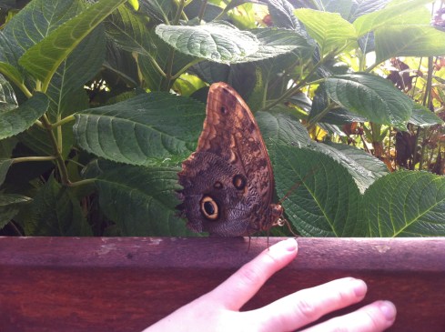 This little guy was totally flirting with me.