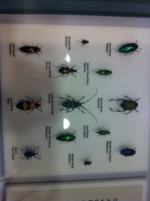 (Sorry- my computer refuses to turn this picture the right way around and save it. Curse you, Picasa!)