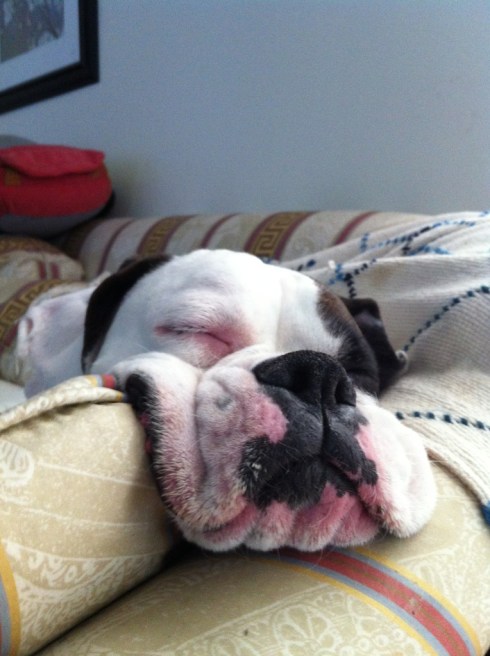 Specifically, this face.