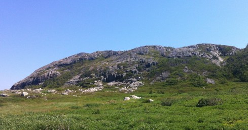 "The landscapes tend toward a certain landscapiness." -Why I'm not a tour guide