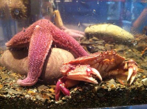 10406597_10152577474400325_6271706807542186091_n