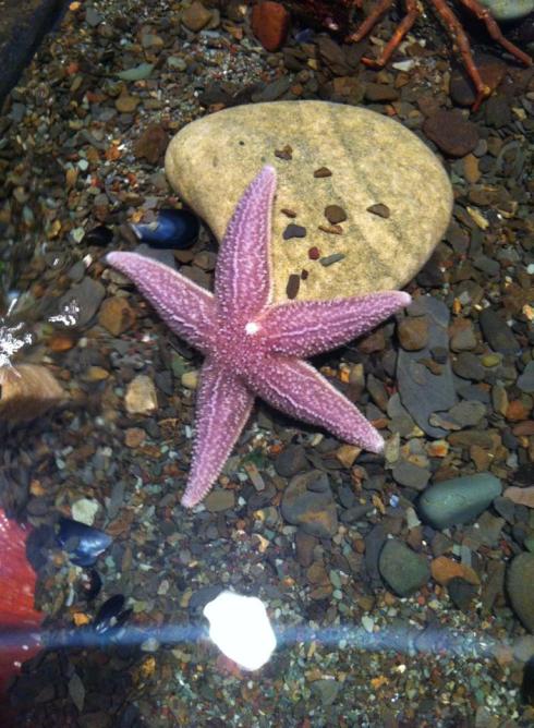 10561662_10152577474560325_5970483776424613859_n