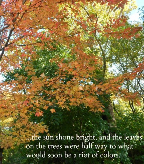 (from Bound, chapter 4)