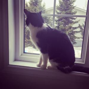 10983318_10153175222920325_1044297349246536556_n