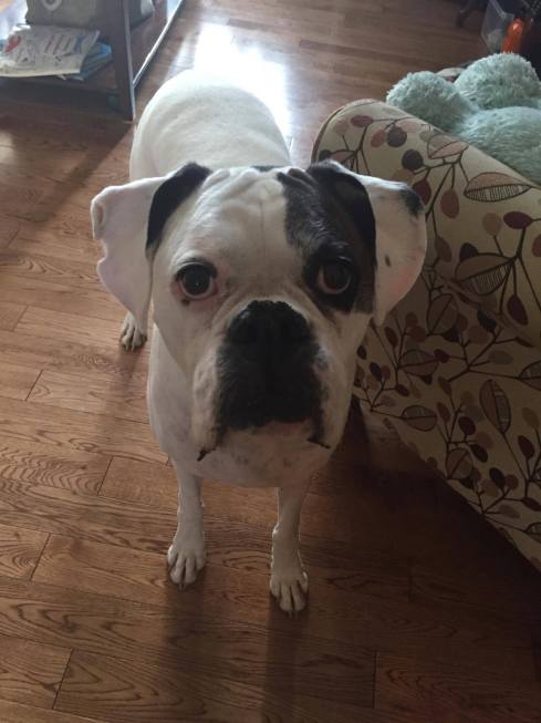 21894966_10155475852070325_1932274789_o