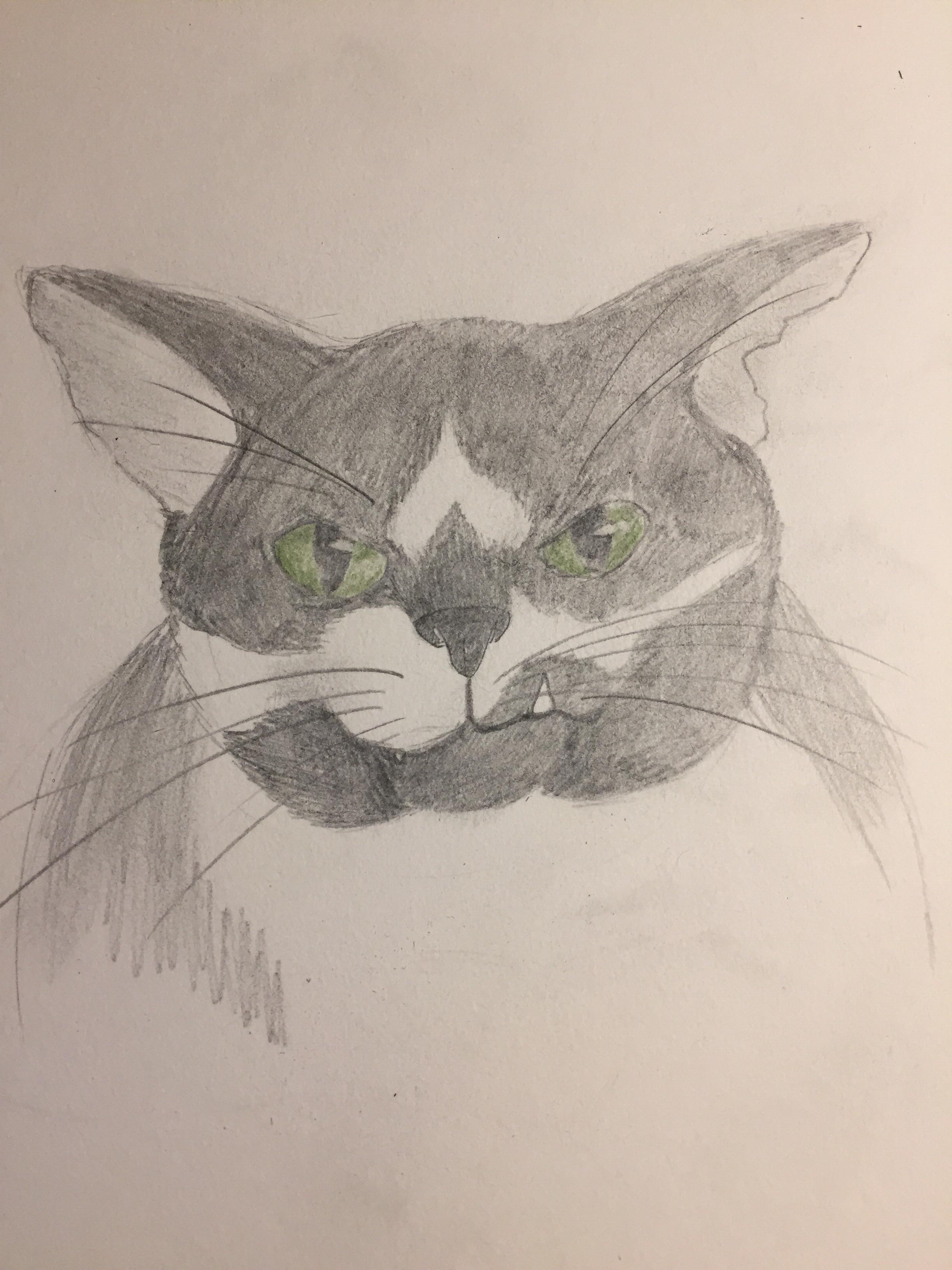 32160820_10156077844680325_1876269502778310656_n