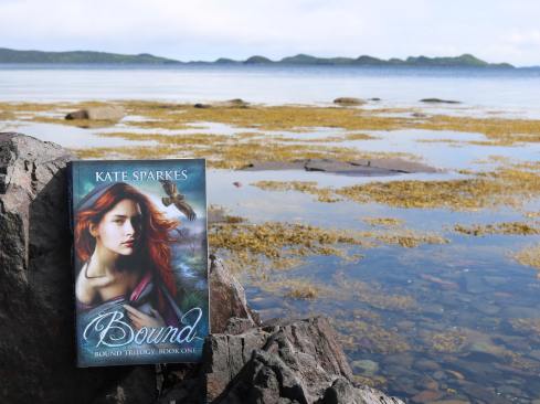 65422895_454669348428277_5696161111728979968_n